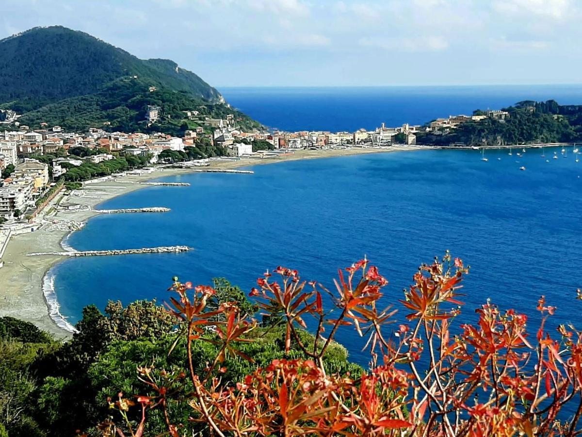 Apartment Zia Anna By Interhome Sestri Levante Dış mekan fotoğraf